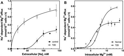 Dysregulated Erythroid Mg2+ Efflux in Type 2 Diabetes